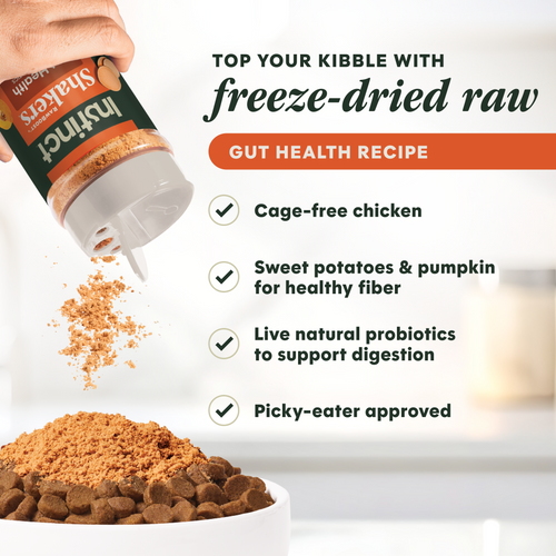 RawBoost+ Shakers Gut Health Recipe