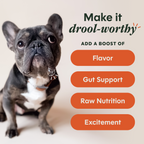 RawBoost+ Shakers Gut Health Recipe