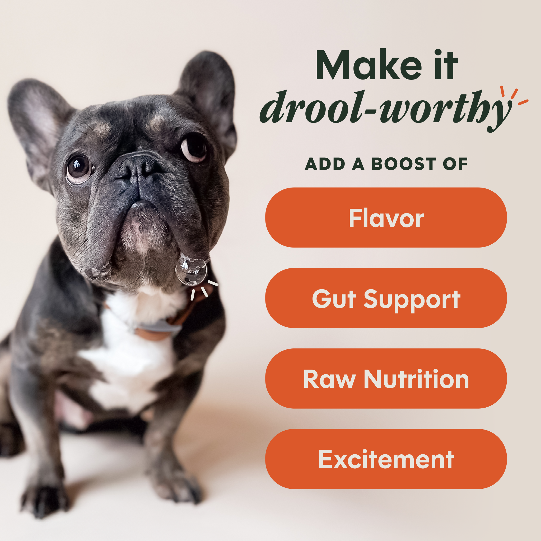 RawBoost+ Shakers Gut Health Recipe