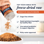 RawBoost+ Shakers Digestive Health Recipe
