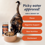 RawBoost+ Shakers Digestive Health Recipe