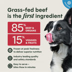 FreshRaw Bites Grass-Fed Beef Recipe