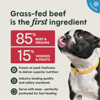 FreshRaw Patties Grass-Fed Beef Recipe