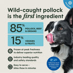 FreshRaw Bites Wild-Caught Pollock Recipe