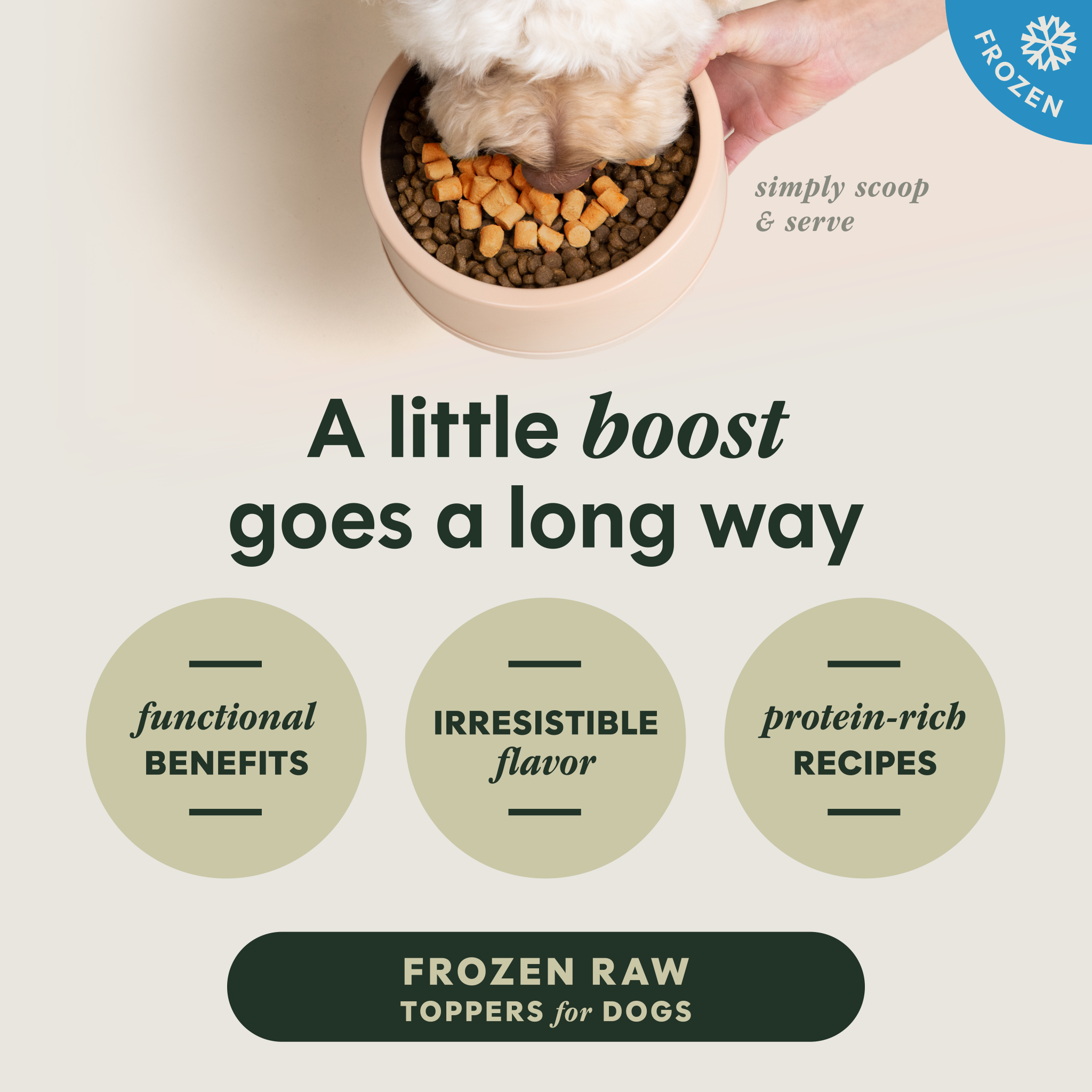 RawBoost+ Frozen Mixers Gut Health Recipe