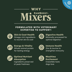 RawBoost+ Frozen Mixers Gut Health Recipe