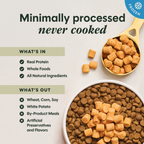 RawBoost+ Frozen Mixers Gut Health Recipe