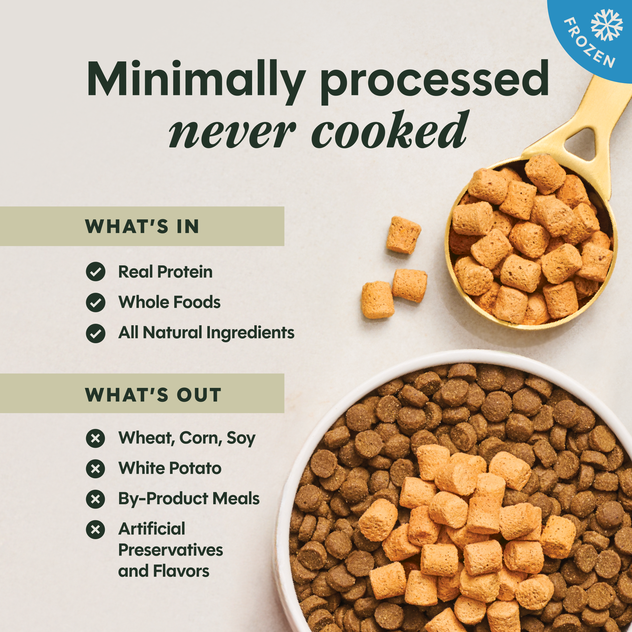 RawBoost+ Frozen Mixers Gut Health Recipe