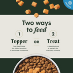 RawBoost+ Frozen Mixers Gut Health Recipe