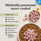 RawBoost+ Frozen Mixers Skin & Coat Health Recipe