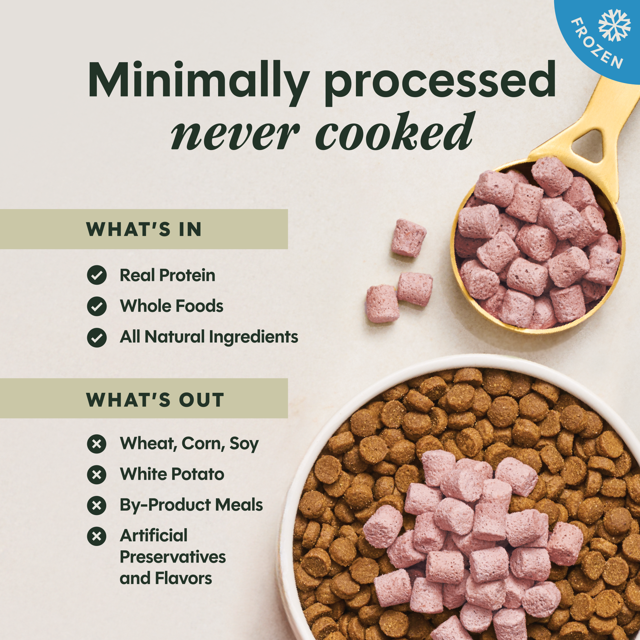 RawBoost+ Frozen Mixers Skin & Coat Health Recipe