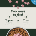 RawBoost+ Frozen Mixers Skin & Coat Health Recipe
