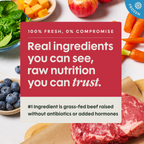 FreshRaw Meals Grass-Fed Beef Recipe