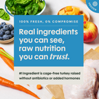 FreshRaw Meals Cage-Free Turkey Recipe