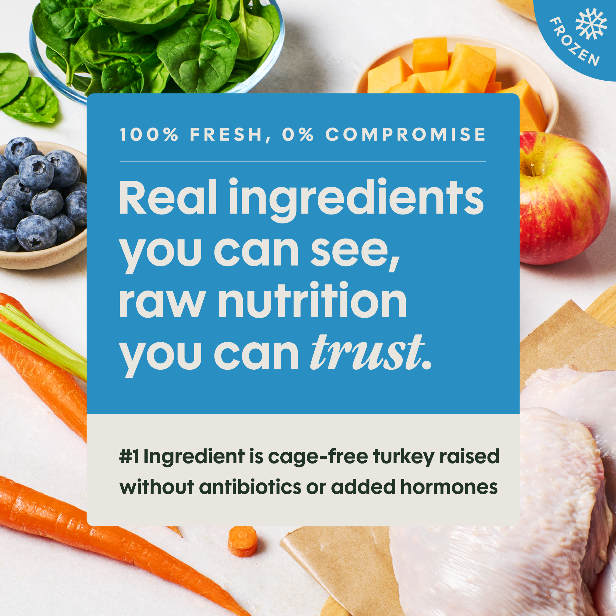 FreshRaw Meals Cage-Free Turkey Recipe