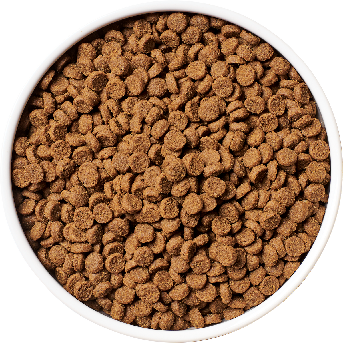 Original Raw-Coated Kibble