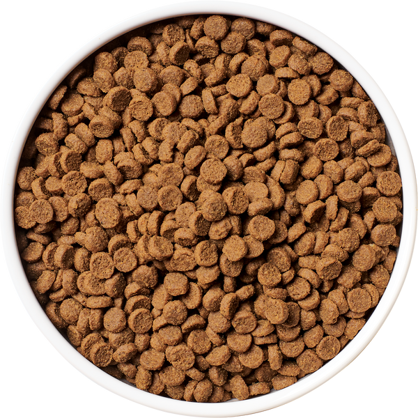 Raw Coated Kibble