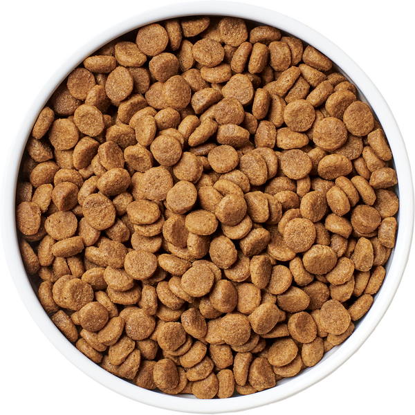 Raw Coated Kibble