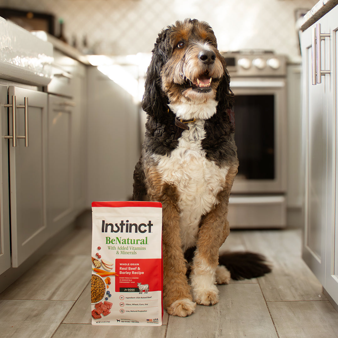 BeNatural Kibble