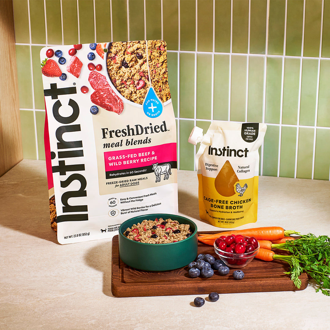 Bone Broth for Dogs