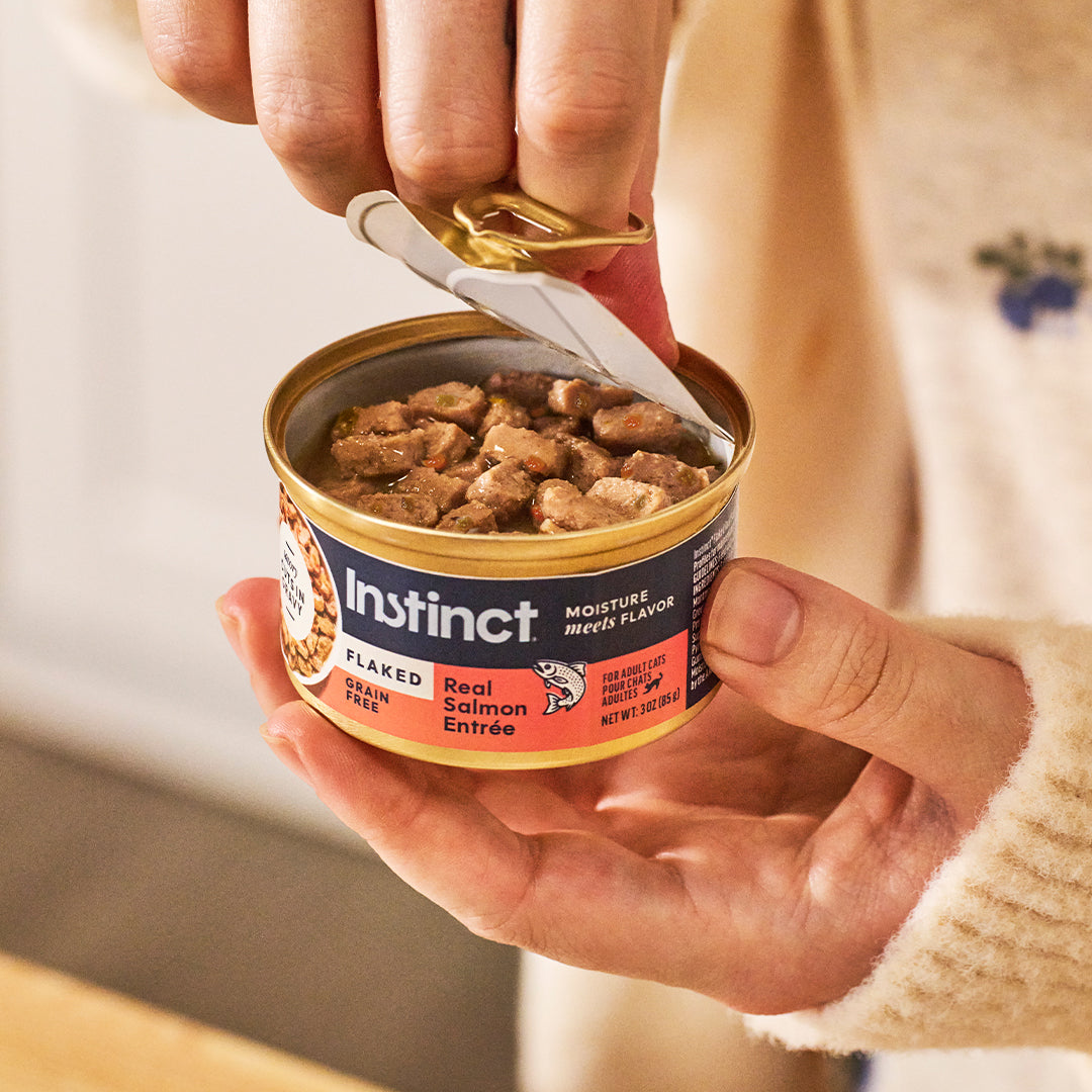 Flaked Cat Food