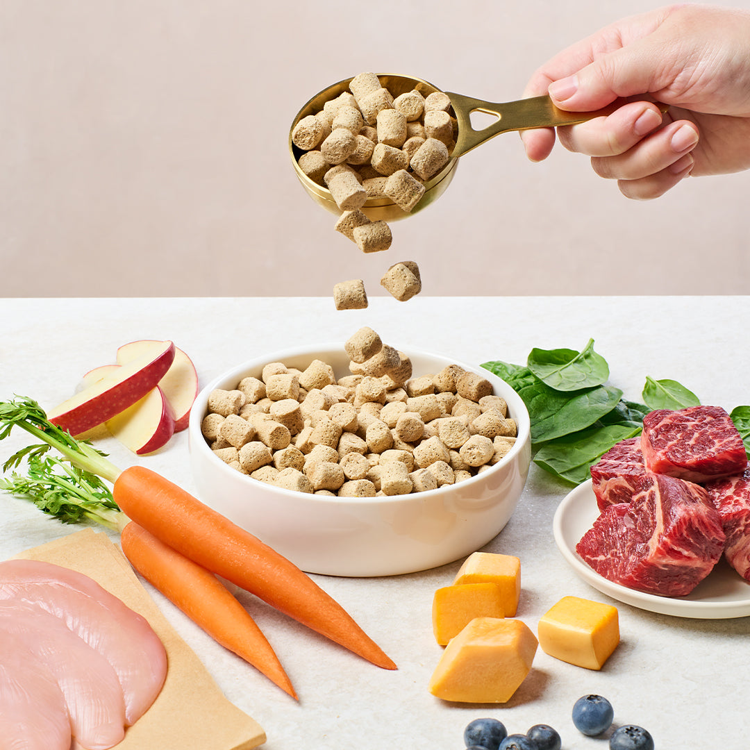 FreshDried Raw Meals for Dogs
