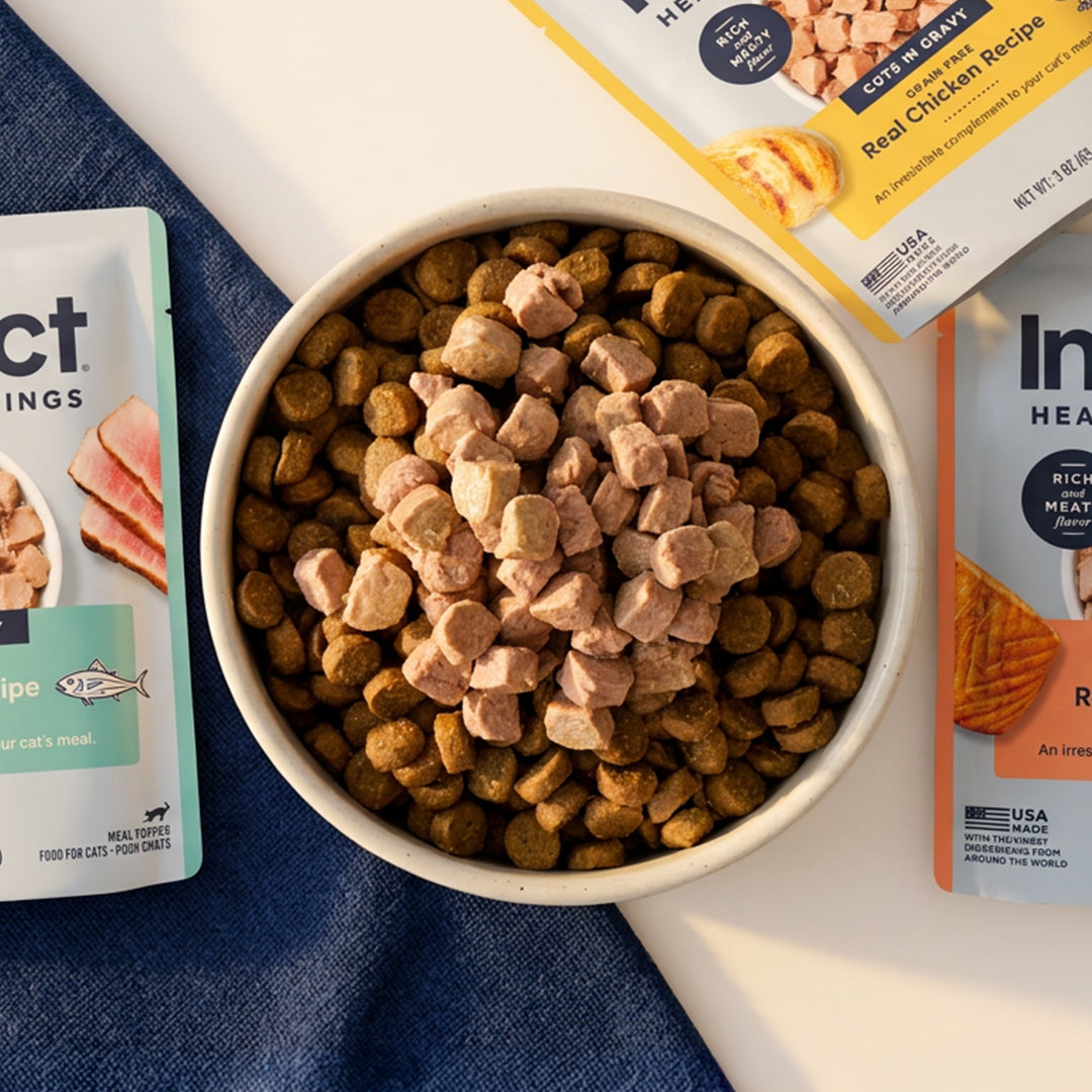 Healthy Cravings for Cats