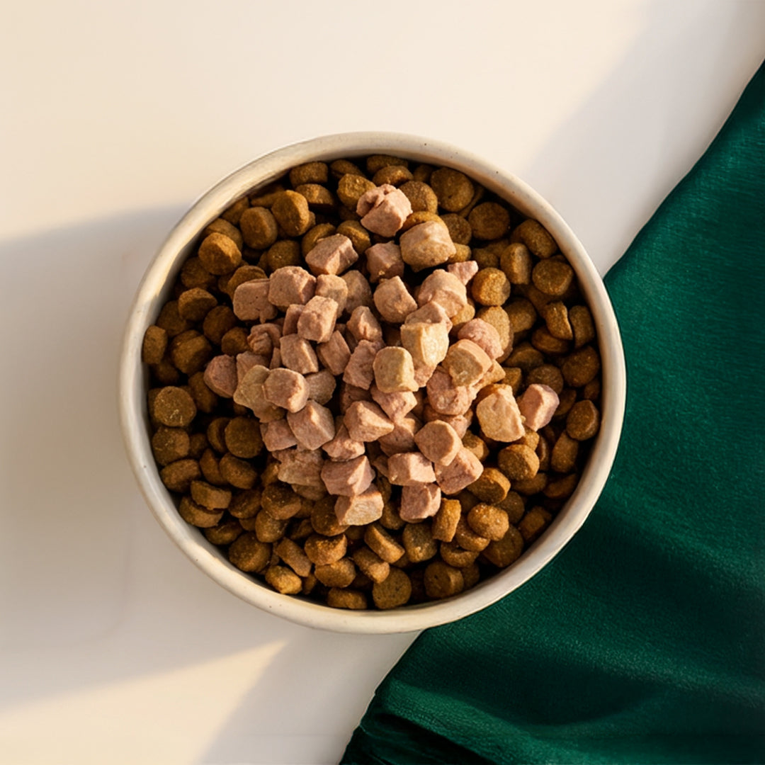 Healthy Cravings for Dogs