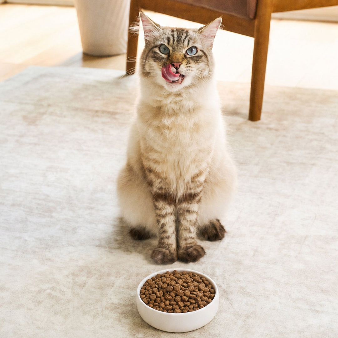 Limited Ingredient Diet Kibble for Cats