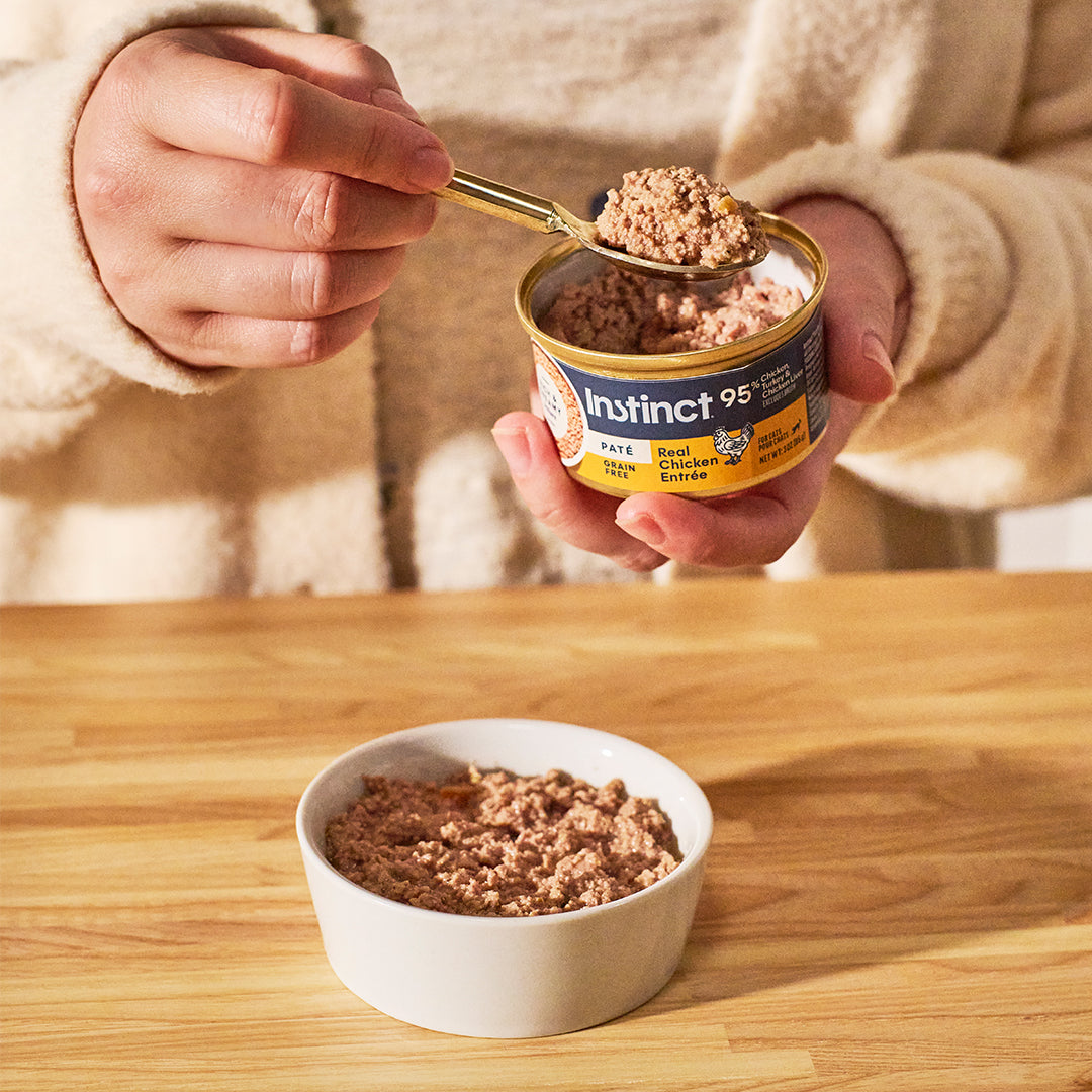 Paté Cat Food