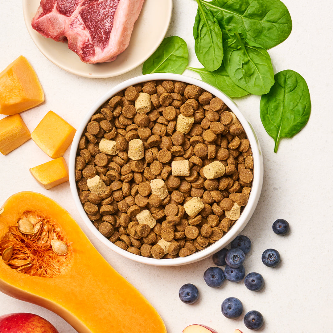 RawBoost Kibble