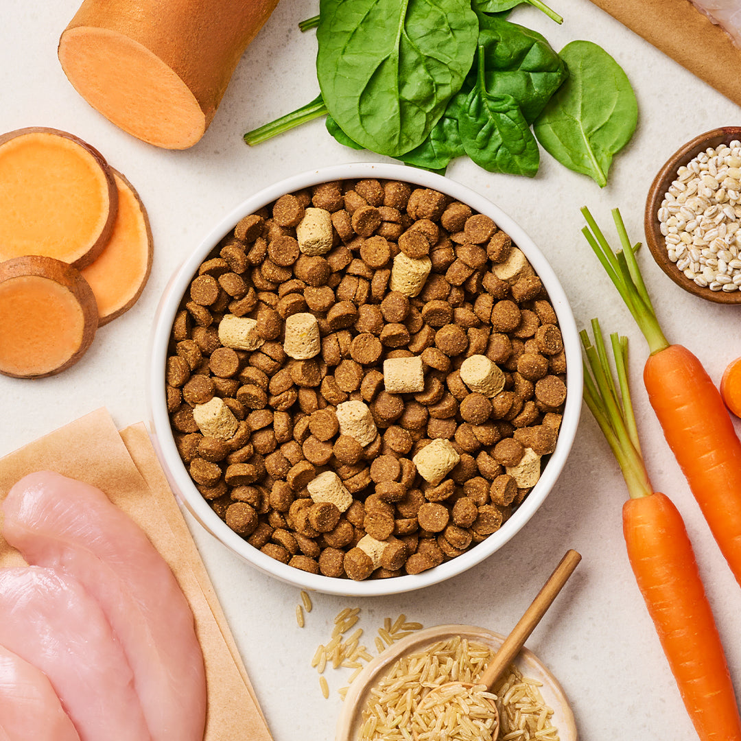 RawBoost Kibble Whole Grain