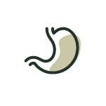 Gut Health
