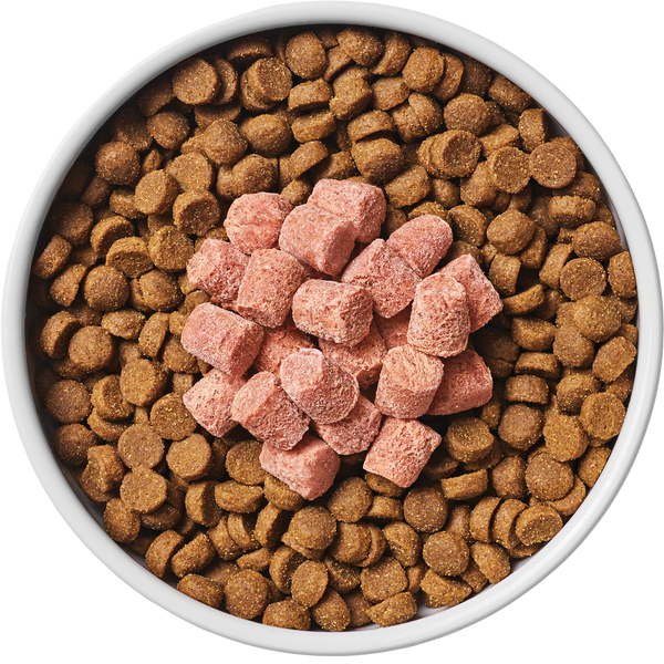 Frozen RawBoost Mixers