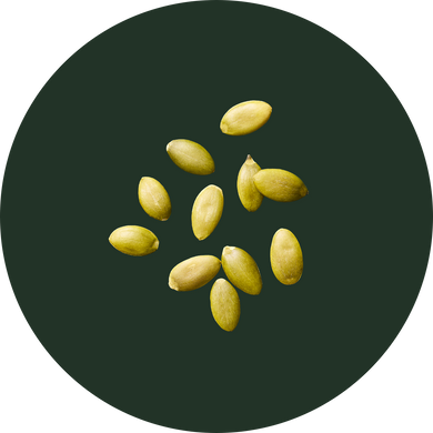 Pumpkin Seeds