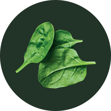 Spinach