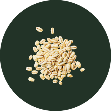 Barley