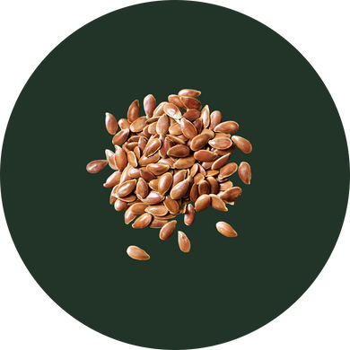 Flax Seeds