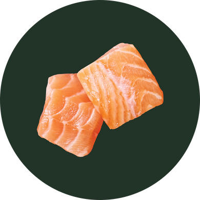 Salmon
