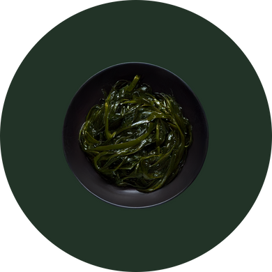 Kelp