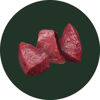Venison