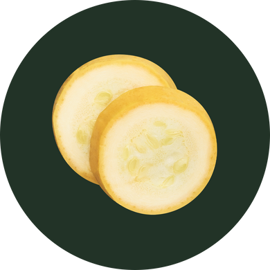 Yellow Squash