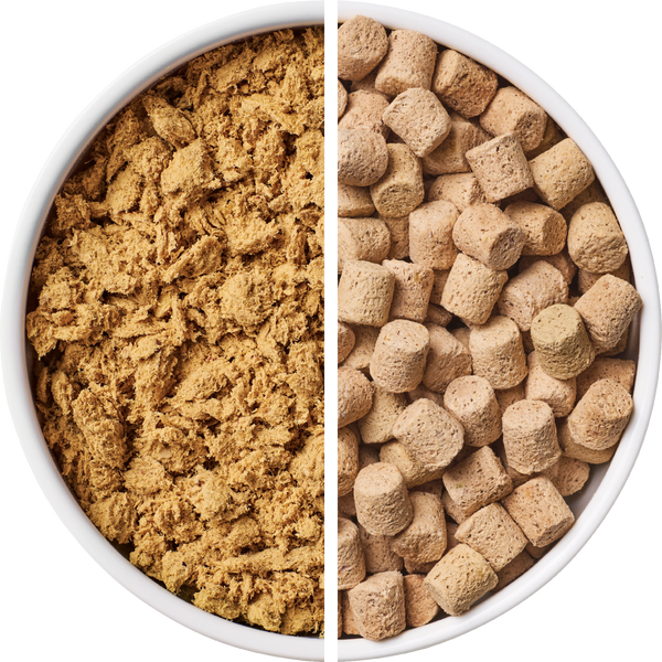 Freeze-Dried Food