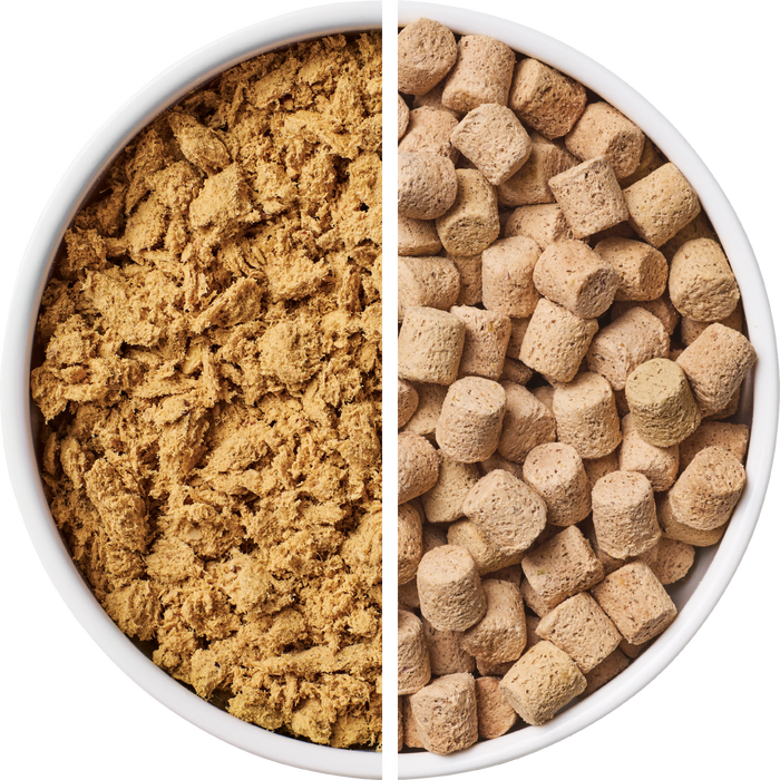 Freeze-Dried Food