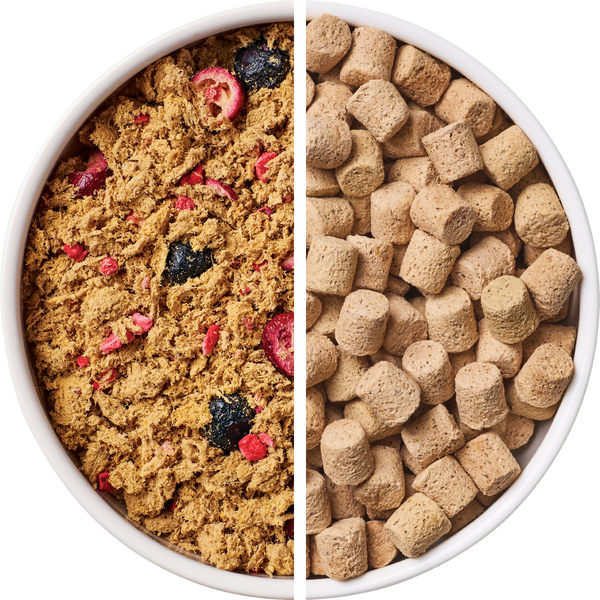 Freeze-Dried Food