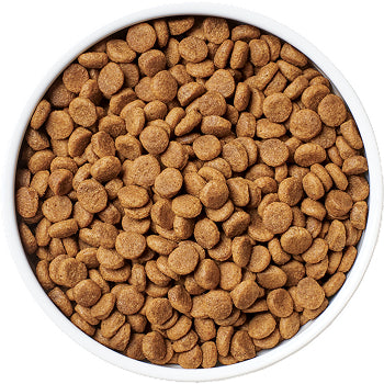 FreshDried Mixer