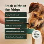 FreshDried Meal Blends Beef & Orchard Blend
