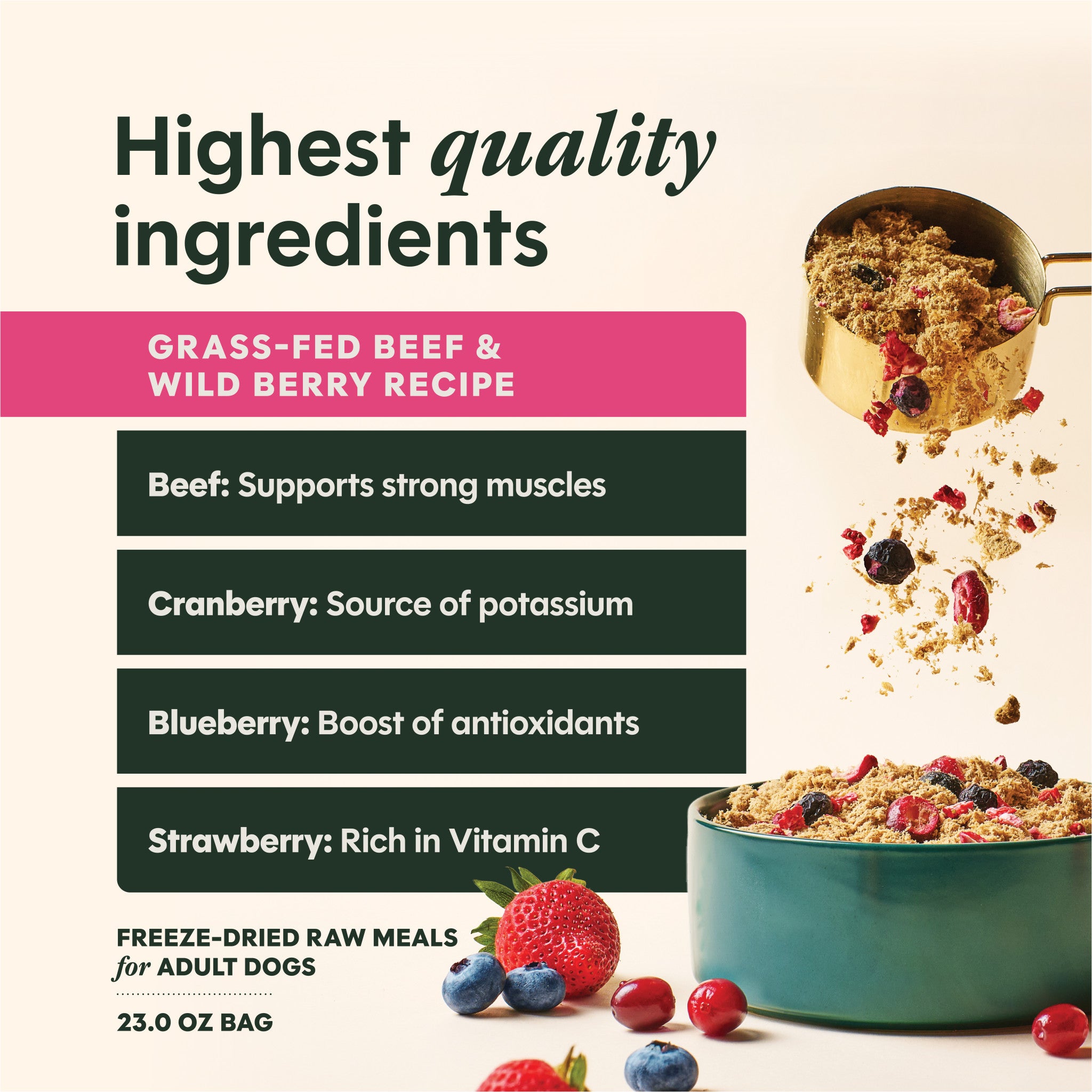 FreshDried Meal Blends Beef & Wild Berries Blend