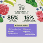 FreshDried Meal Blends Beef & Orchard Blend