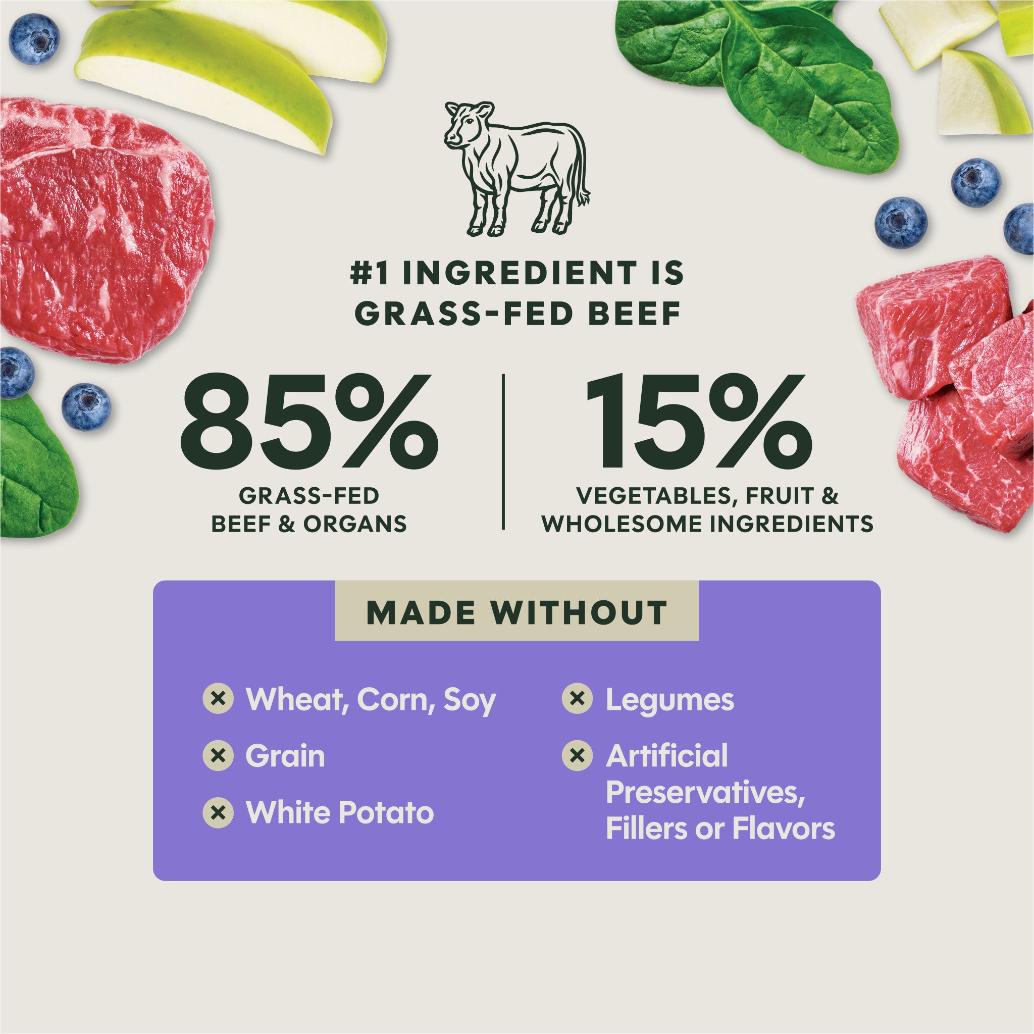 FreshDried Meal Blends Beef & Orchard Blend